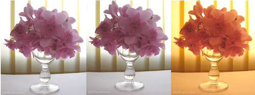 Screen Shot 2012-02-03 at 10.18.44